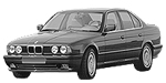 BMW E34 P008C Fault Code